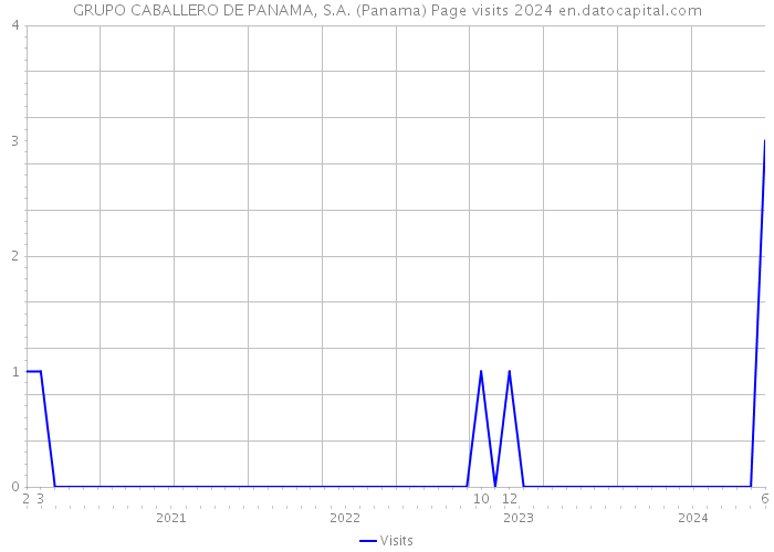 GRUPO CABALLERO DE PANAMA, S.A. (Panama) Page visits 2024 