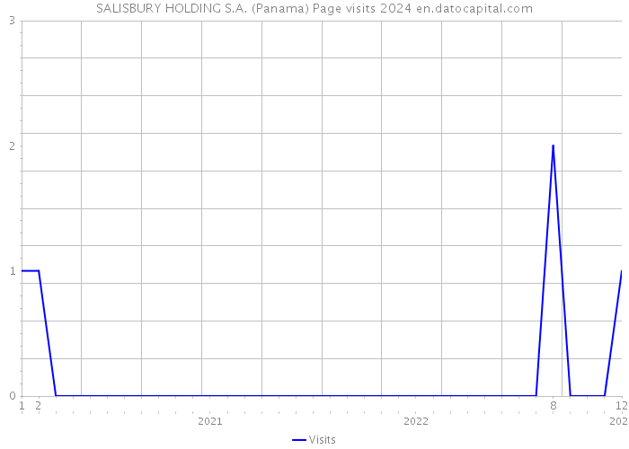 SALISBURY HOLDING S.A. (Panama) Page visits 2024 