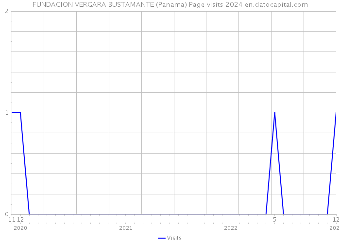 FUNDACION VERGARA BUSTAMANTE (Panama) Page visits 2024 
