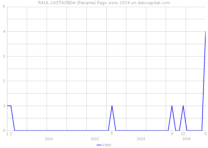 RAUL CASTAÖEDA (Panama) Page visits 2024 