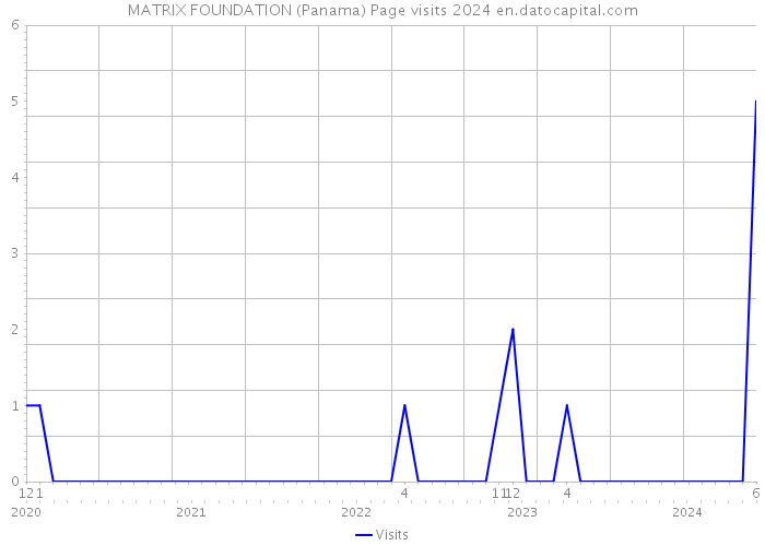 MATRIX FOUNDATION (Panama) Page visits 2024 
