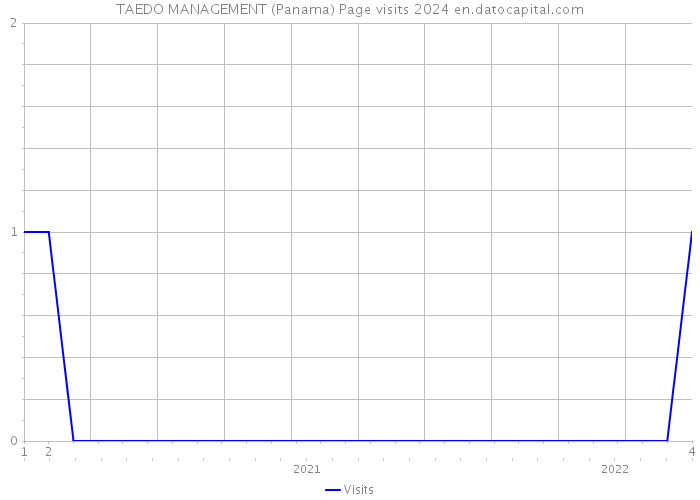 TAEDO MANAGEMENT (Panama) Page visits 2024 