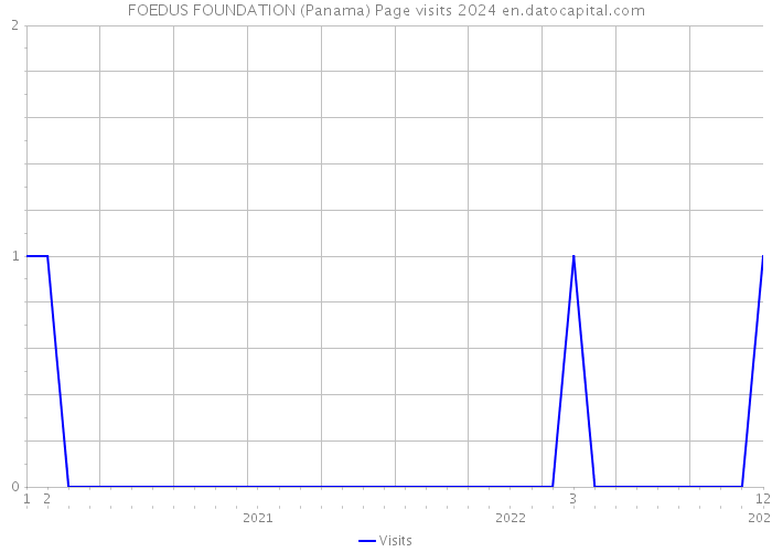 FOEDUS FOUNDATION (Panama) Page visits 2024 