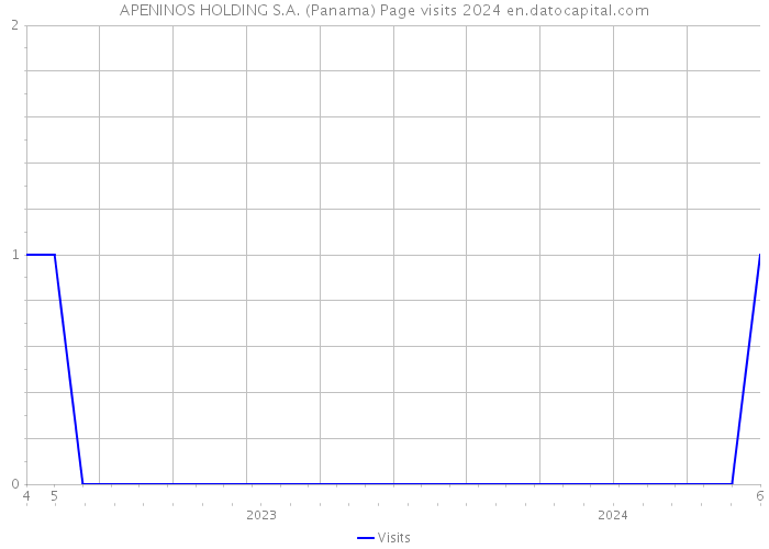 APENINOS HOLDING S.A. (Panama) Page visits 2024 