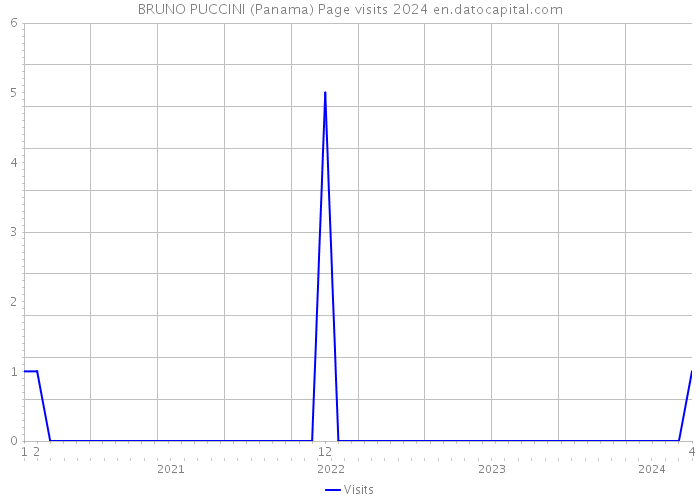 BRUNO PUCCINI (Panama) Page visits 2024 