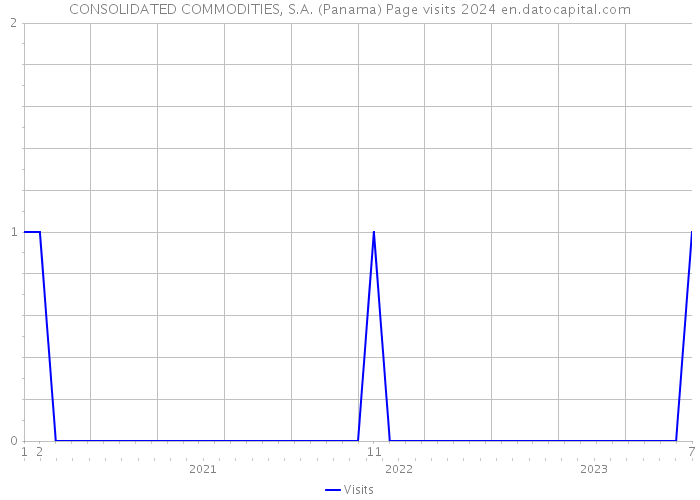 CONSOLIDATED COMMODITIES, S.A. (Panama) Page visits 2024 