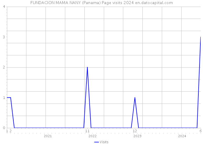 FUNDACION MAMA NANY (Panama) Page visits 2024 