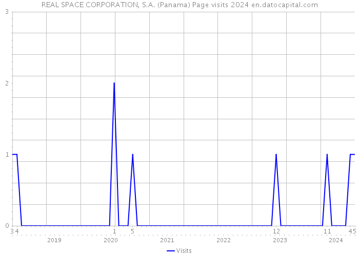 REAL SPACE CORPORATION, S.A. (Panama) Page visits 2024 