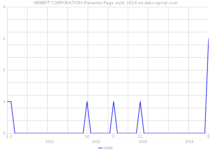 NEWEST CORPORATION (Panama) Page visits 2024 