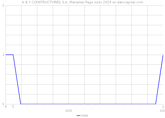 A & Y CONSTRUCTORES, S.A. (Panama) Page visits 2024 