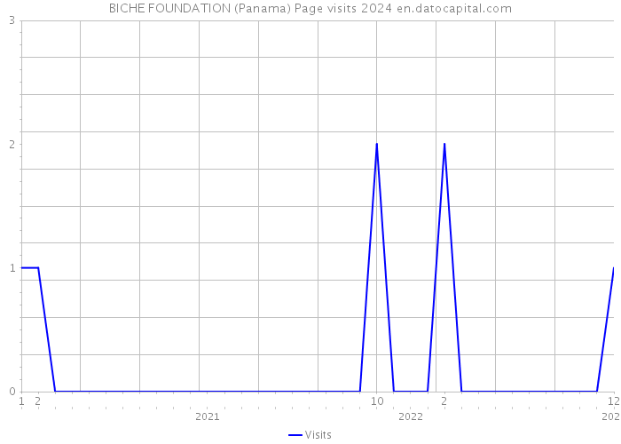 BICHE FOUNDATION (Panama) Page visits 2024 