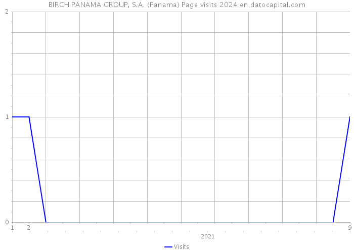 BIRCH PANAMA GROUP, S.A. (Panama) Page visits 2024 