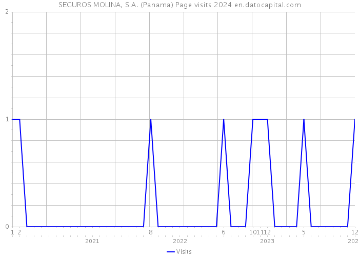 SEGUROS MOLINA, S.A. (Panama) Page visits 2024 