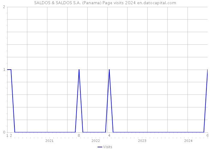 SALDOS & SALDOS S.A. (Panama) Page visits 2024 