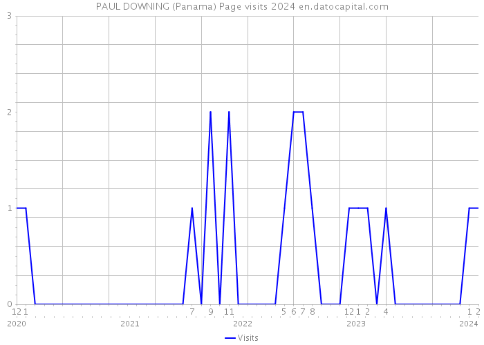 PAUL DOWNING (Panama) Page visits 2024 
