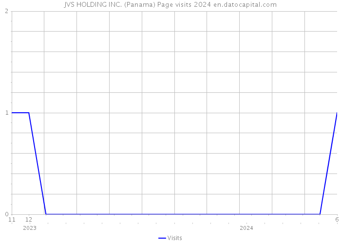 JVS HOLDING INC. (Panama) Page visits 2024 