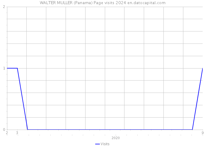 WALTER MULLER (Panama) Page visits 2024 