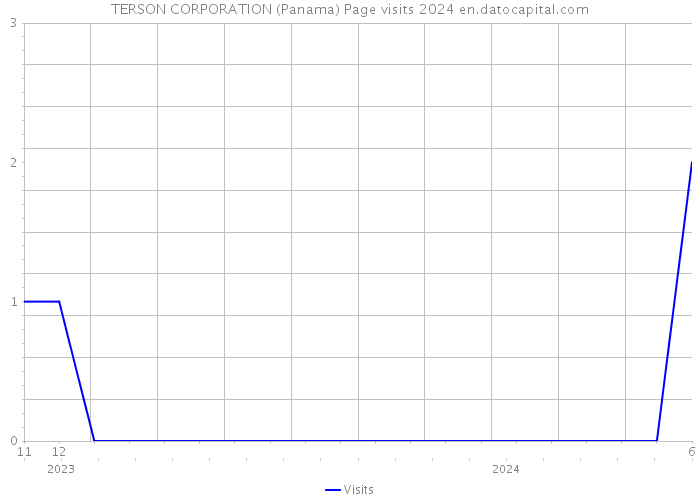 TERSON CORPORATION (Panama) Page visits 2024 