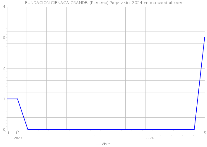 FUNDACION CIENAGA GRANDE. (Panama) Page visits 2024 