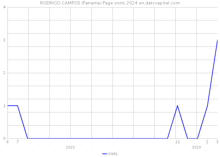 RODRIGO CAMPOS (Panama) Page visits 2024 