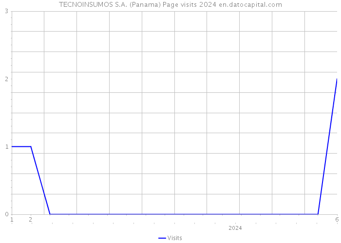TECNOINSUMOS S.A. (Panama) Page visits 2024 