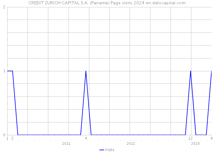 CREDIT ZURICH CAPITAL S.A. (Panama) Page visits 2024 