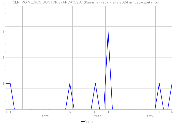 CENTRO MEDICO DOCTOR BRANDAO,S.A. (Panama) Page visits 2024 