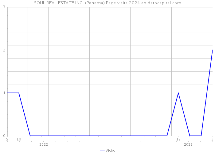 SOUL REAL ESTATE INC. (Panama) Page visits 2024 