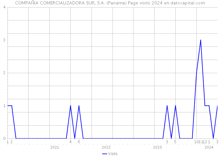 COMPAÑIA COMERCIALIZADORA SUR, S.A. (Panama) Page visits 2024 