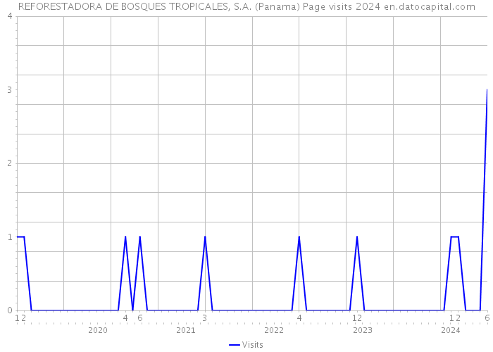 REFORESTADORA DE BOSQUES TROPICALES, S.A. (Panama) Page visits 2024 