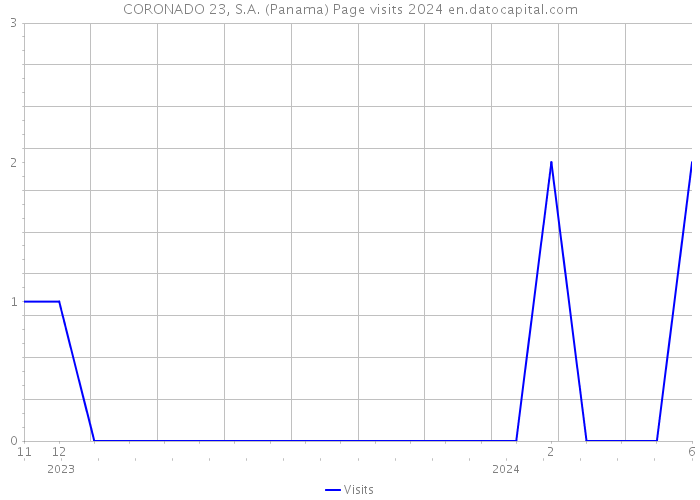 CORONADO 23, S.A. (Panama) Page visits 2024 