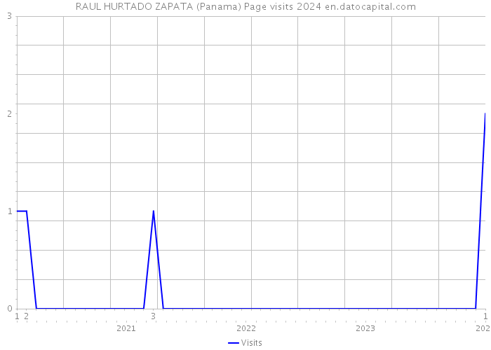 RAUL HURTADO ZAPATA (Panama) Page visits 2024 