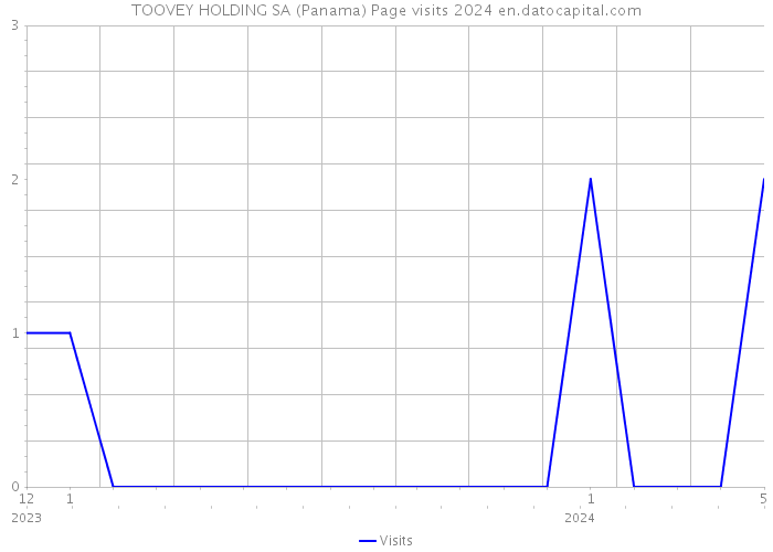 TOOVEY HOLDING SA (Panama) Page visits 2024 