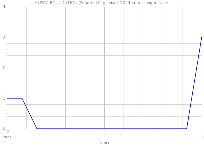 MUSCA FOUNDATION (Panama) Page visits 2024 