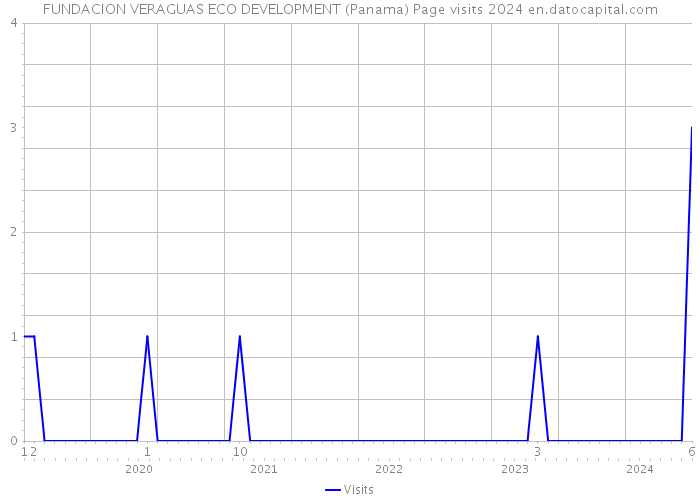 FUNDACION VERAGUAS ECO DEVELOPMENT (Panama) Page visits 2024 
