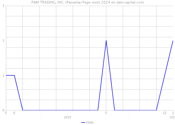 P&M TRADING, INC. (Panama) Page visits 2024 