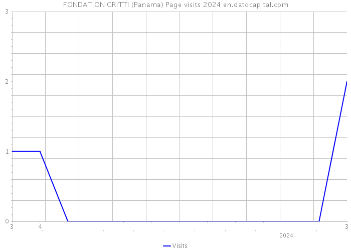 FONDATION GRITTI (Panama) Page visits 2024 
