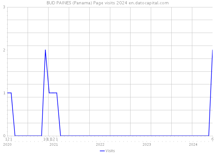 BUD PAINES (Panama) Page visits 2024 