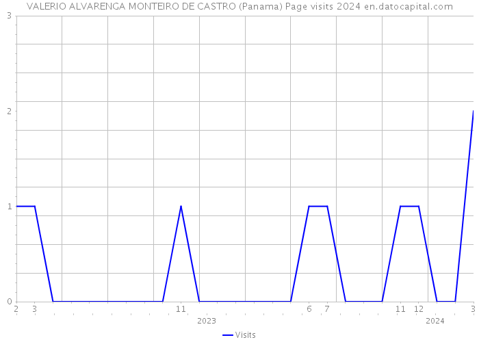 VALERIO ALVARENGA MONTEIRO DE CASTRO (Panama) Page visits 2024 
