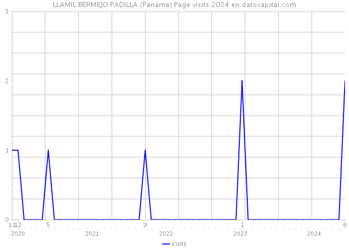 LLAMIL BERMEJO PADILLA (Panama) Page visits 2024 