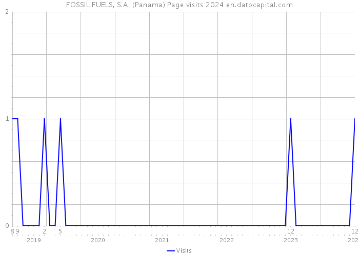 FOSSIL FUELS, S.A. (Panama) Page visits 2024 