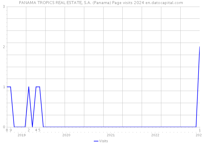 PANAMA TROPICS REAL ESTATE, S.A. (Panama) Page visits 2024 