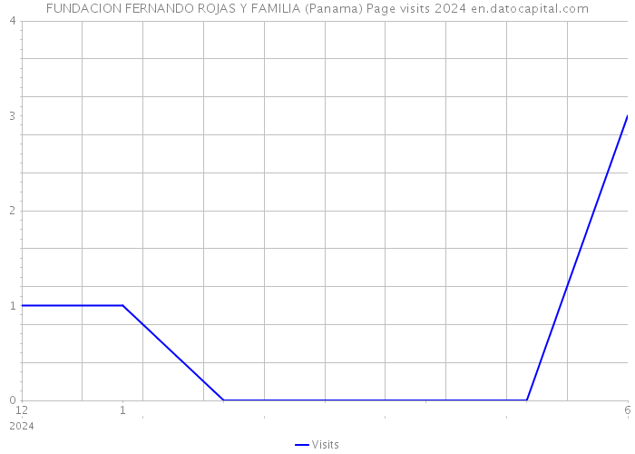 FUNDACION FERNANDO ROJAS Y FAMILIA (Panama) Page visits 2024 