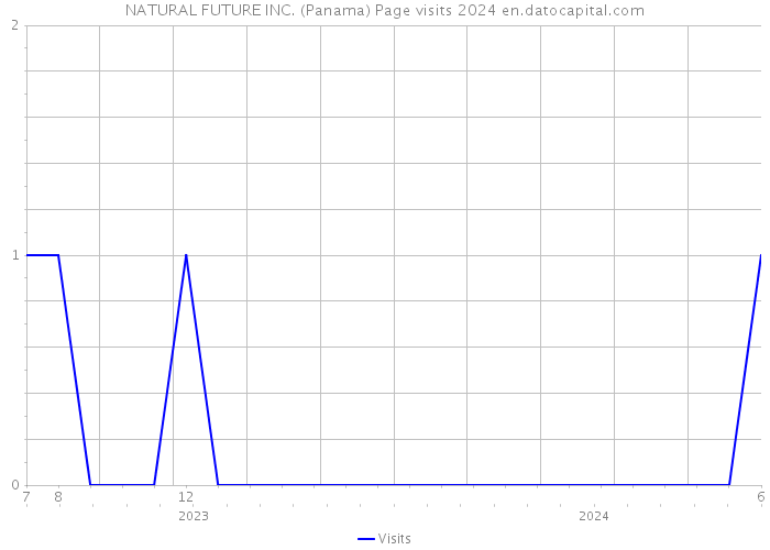 NATURAL FUTURE INC. (Panama) Page visits 2024 