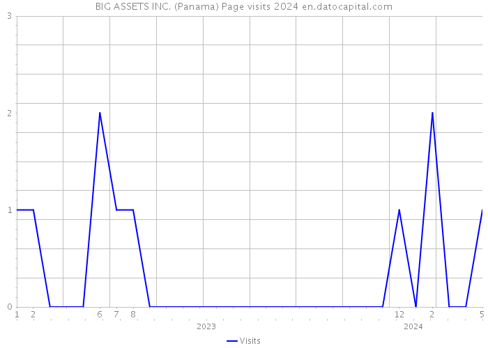 BIG ASSETS INC. (Panama) Page visits 2024 