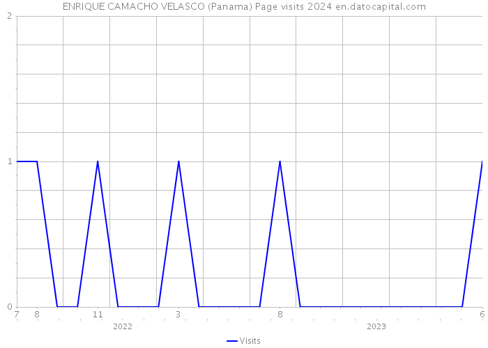 ENRIQUE CAMACHO VELASCO (Panama) Page visits 2024 