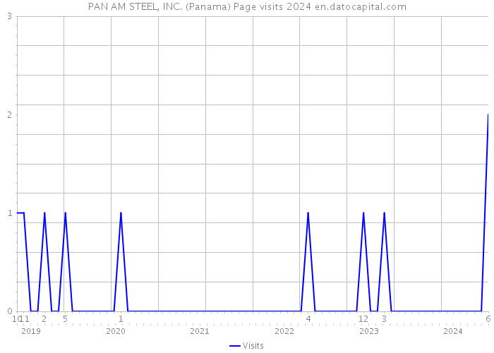 PAN AM STEEL, INC. (Panama) Page visits 2024 