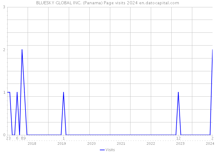 BLUESKY GLOBAL INC. (Panama) Page visits 2024 