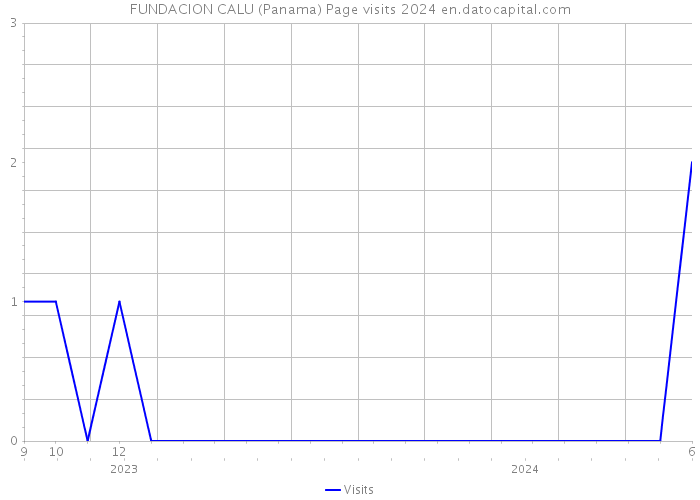 FUNDACION CALU (Panama) Page visits 2024 