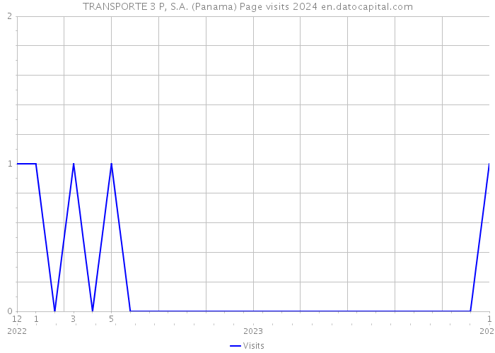 TRANSPORTE 3 P, S.A. (Panama) Page visits 2024 